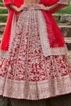 Buy_Anushree Reddy_Red Blouse And Lehenga Raw Silk Embroidery Zari Plunge V-neck Divila Bridal Set _Online_at_Aza_Fashions