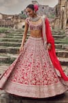 Shop_Anushree Reddy_Red Blouse And Lehenga Raw Silk Embroidery Zari Plunge V-neck Divila Bridal Set _Online_at_Aza_Fashions