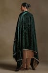 Shop_Weaver Story_Green Sequins Floral Vine Hand Embroidered Dushala _at_Aza_Fashions