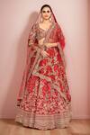 Buy_Kalighata_Red Raw Silk Embroidery Floral V Neck Spring Fall Hand Bridal Lehenga Set _at_Aza_Fashions