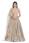 Abhinav Mishra_Gold Net Embroidery Mirror Plunge Neck Floral Bridal Lehenga Set _at_Aza_Fashions