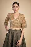 Buy_Rocky Star_Gold Skin Net And Poly Lurex Embroidery Sequins V Neck Sheer Blouse With Lehenga _Online_at_Aza_Fashions