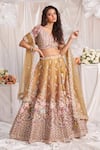 Buy_Samyukta Singhania_Rose Gold Lehenga And Blouse Tissue Embroidered Stone Leaf Floral Jaali Set _at_Aza_Fashions