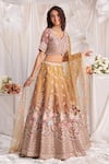 Buy_Samyukta Singhania_Rose Gold Lehenga And Blouse Tissue Embroidered Stone Leaf Floral Jaali Set _Online_at_Aza_Fashions