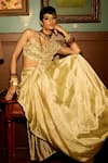 Reeti Arneja_Beige Flat Tissue Bloom Floral Applique Work Pre-draped Saree With Blouse _Online_at_Aza_Fashions