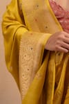 Buy_Priyanka Raajiv_Yellow Silk Banarasi Hand Woven Heera Meenakari Saree With Running Blouse _Online_at_Aza_Fashions