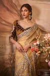 Shop_Lashkaraa_Brown Organza, Velvet Sequins, Embroidery, Zari Bloom Gardenia Pre-draped Saree _Online_at_Aza_Fashions