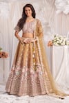 Shop_Samyukta Singhania_Rose Gold Lehenga And Blouse Tissue Embroidered Stone Leaf Floral Jaali Set _Online_at_Aza_Fashions