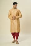 Buy_Arihant Rai Sinha_Beige Polyester, Silk Embroidery Bloom Wave Kurta Set 
