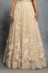 Neeta Lulla_Beige Organza Applique Tropical Floral Motifs V Neck Lehenga Set _Online_at_Aza_Fashions