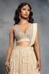 Buy_Neeta Lulla_Beige Organza Applique Tropical Floral Motifs V Neck Lehenga Set _Online_at_Aza_Fashions