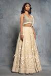 Shop_Neeta Lulla_Beige Organza Applique Tropical Floral Motifs V Neck Lehenga Set _Online_at_Aza_Fashions