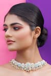 Shop_Kanyaadhan By Dhirajaayushi_Multi Color Embroidery, Diamonds Floral Choker Set _at_Aza_Fashions