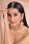 Buy_Nazaakat By Samara Singh_Gold Plated Stones, Beads Studded Long Earrings _at_Aza_Fashions