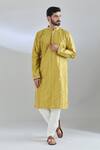 Buy_Arihant Rai Sinha_Green Polyester Mirrors, Sequins, Embroidery Work Kurta Set _at_Aza_Fashions