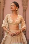 Shop_Sheetal Batra_Ivory Silk Organza Kiran Dori Plunge V Neck Embroidered Lehenga Set 
