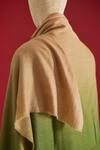 Shop_SHAZA_Beige Ombre Handloom Pashmina Shawl _at_Aza_Fashions