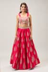 Samyukta Singhania_Pink Net Embroidery Lehenga Set _Online_at_Aza_Fashions