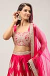 Samyukta Singhania_Pink Net Embroidery Lehenga Set _at_Aza_Fashions