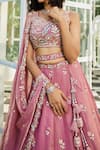 Samyukta Singhania_Pink Net Embroidery Lehenga Set_Online_at_Aza_Fashions