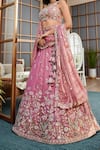 Shop_Samyukta Singhania_Pink Net Embroidery Lehenga Set_Online_at_Aza_Fashions