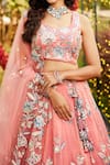 Shop_Samyukta Singhania_Peach Net Tassels, Sequins, Embroidery Floral Lehenga Set _Online_at_Aza_Fashions