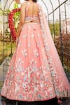 Shop_Samyukta Singhania_Peach Net Tassels, Sequins, Embroidery Floral Lehenga Set _at_Aza_Fashions
