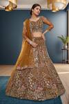 Samyukta Singhania_Mustard Net Sequins, Embroidery Lehenga Set_Online_at_Aza_Fashions