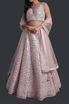 Shop_Samyukta Singhania_Pink Silk, Net Mirrors, Tassels Light Embroidered Lehenga Set_Online_at_Aza_Fashions