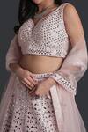 Buy_Samyukta Singhania_Pink Silk, Net Mirrors, Tassels Light Embroidered Lehenga Set