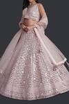 Shop_Samyukta Singhania_Pink Silk, Net Mirrors, Tassels Light Embroidered Lehenga Set