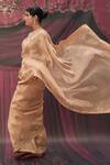 Geroo Jaipur_Beige Gold Tissue Embellished Saree Set _Online_at_Aza_Fashions