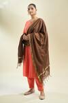 Samyukta Singhania_Brown Coffee And Gold-toned Cotton Tussar Dupatta_Online_at_Aza_Fashions