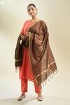 Shop_Samyukta Singhania_Brown Coffee And Gold-toned Cotton Tussar Dupatta_at_Aza_Fashions