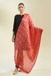 Samyukta Singhania_Red Printed Bandhani Dupatta_Online_at_Aza_Fashions