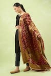 Shop_Samyukta Singhania_Maroon Silk Zari Woven Design Banarasi Bandhej Dupatta _Online_at_Aza_Fashions