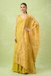 Shop_Samyukta Singhania_Gold Gotta Patti Sequinned Dupatta_at_Aza_Fashions