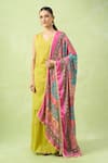 Samyukta Singhania_Multi Color Ethnic Motifs Printed Mirror Work Dupatta _Online_at_Aza_Fashions