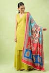 Shop_Samyukta Singhania_Multi Color Mirrors, Embroidery Multi-colored Printed Work Dupatta _at_Aza_Fashions