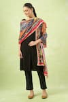 Samyukta Singhania_Multi Color Mirrors, Embroidery Ethnic Printed Work Dupatta _Online_at_Aza_Fashions