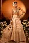 Neha Khullar x AZA_Pink Banarasi Chanderi Lehenga Set _Online