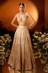 Neha Khullar x AZA_Pink Banarasi Chanderi Lehenga Set _Online