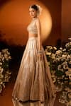 Buy_Neha Khullar x AZA_Pink Banarasi Chanderi Lehenga Set _Online