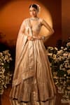 Shop_Neha Khullar x AZA_Pink Banarasi Chanderi Lehenga Set _Online
