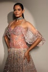 Shop_Megha Bansal_Rose Gold Organza, Tulle, Zari, Embroidery Floral Lehenga Set _Online_at_Aza_Fashions