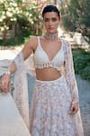 Shop_Seema Gujral_Multi Color Organza, Net Pearls, Sequins, Beads, Embroidery V-neck Lehenga Set 