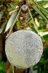 Shop_Clutch'D_Silver Metal Cube Designer Bag _at_Aza_Fashions