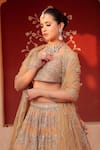 Amaltas Couture_Gold Net, Crepe Embroidery V-neck Bridal Lehenga Set _Online_at_Aza_Fashions