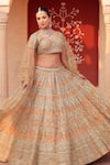 Shop_Amaltas Couture_Gold Net, Crepe Embroidery V-neck Bridal Lehenga Set _at_Aza_Fashions