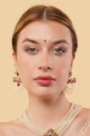 Buy_Dugran By Dugristyle_Multi Color Beads Arzoo Gold-plated Drop Earrings _at_Aza_Fashions